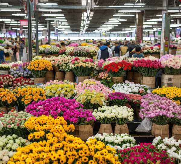 揭秘鲜花批发，市场行情一览,揭秘鲜花批发，市场行情一览,百合,鲜花批发,批发市场,第1张